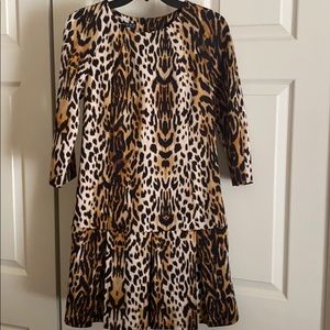 Leopard knit dress 3/4 sleeve